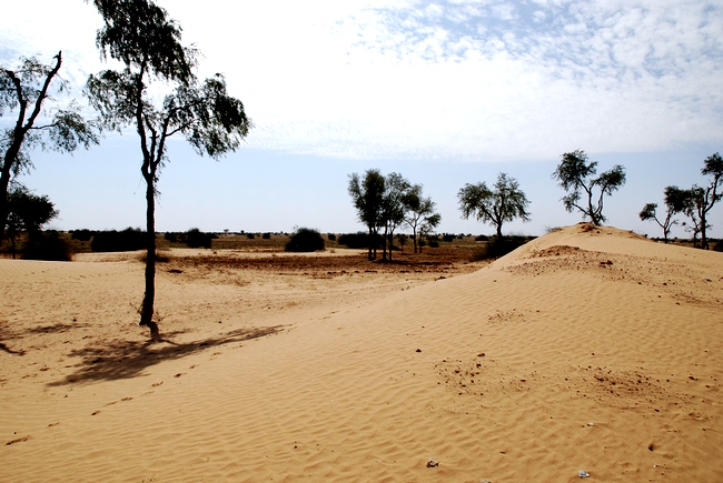 Photo - le désert de Thar 