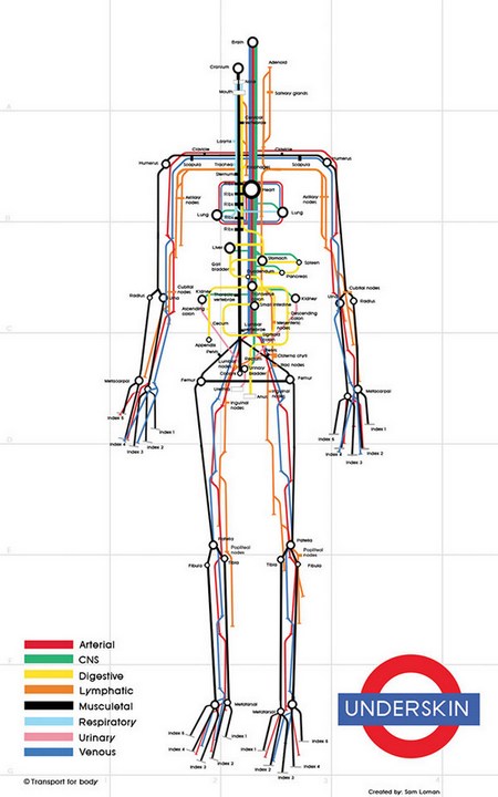 Carte : Plan de métro du corps humain