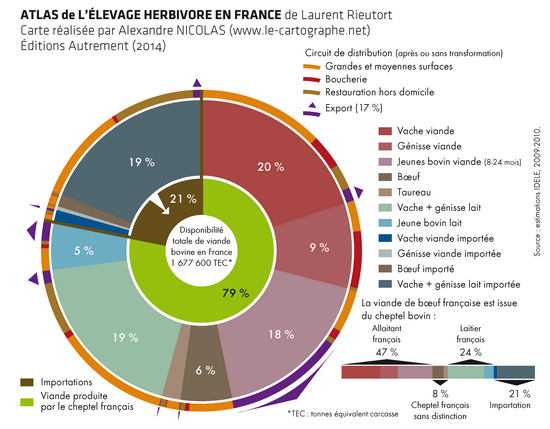 Infographie : D’où vient la viande bovine consommée en France ?