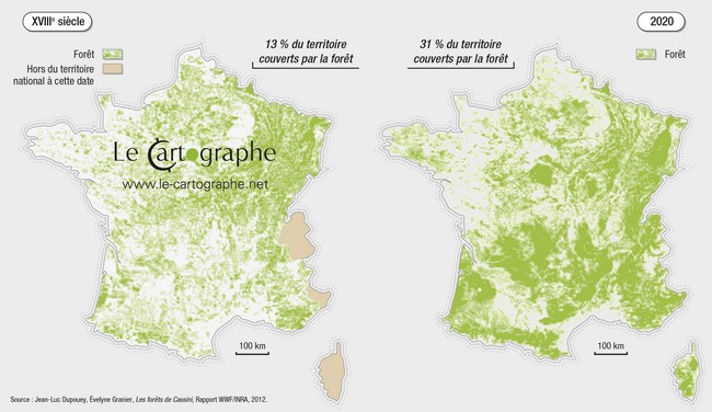 Carte : Comparaison de la couverture forestière en 1800 et 2020