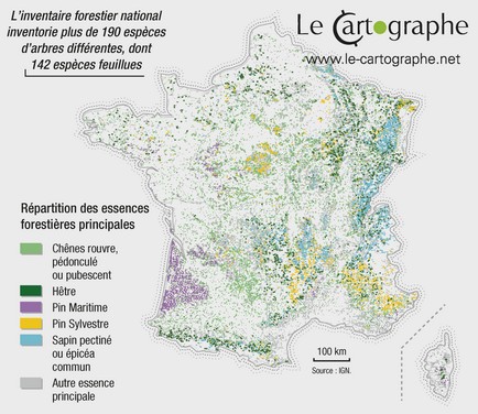 Carte : Répartition des principales essences d'arbres en France