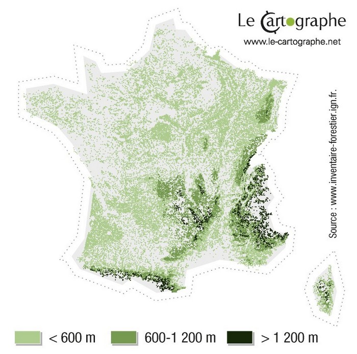 Carte : Répartition des forêts selon l'altitude