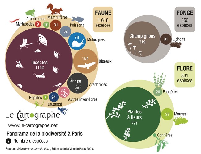 Infographie : Panorama de biodiversité à Paris