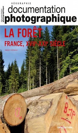 Les Forêts en France