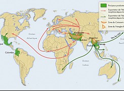 Afghanistan - La culture de l'opium